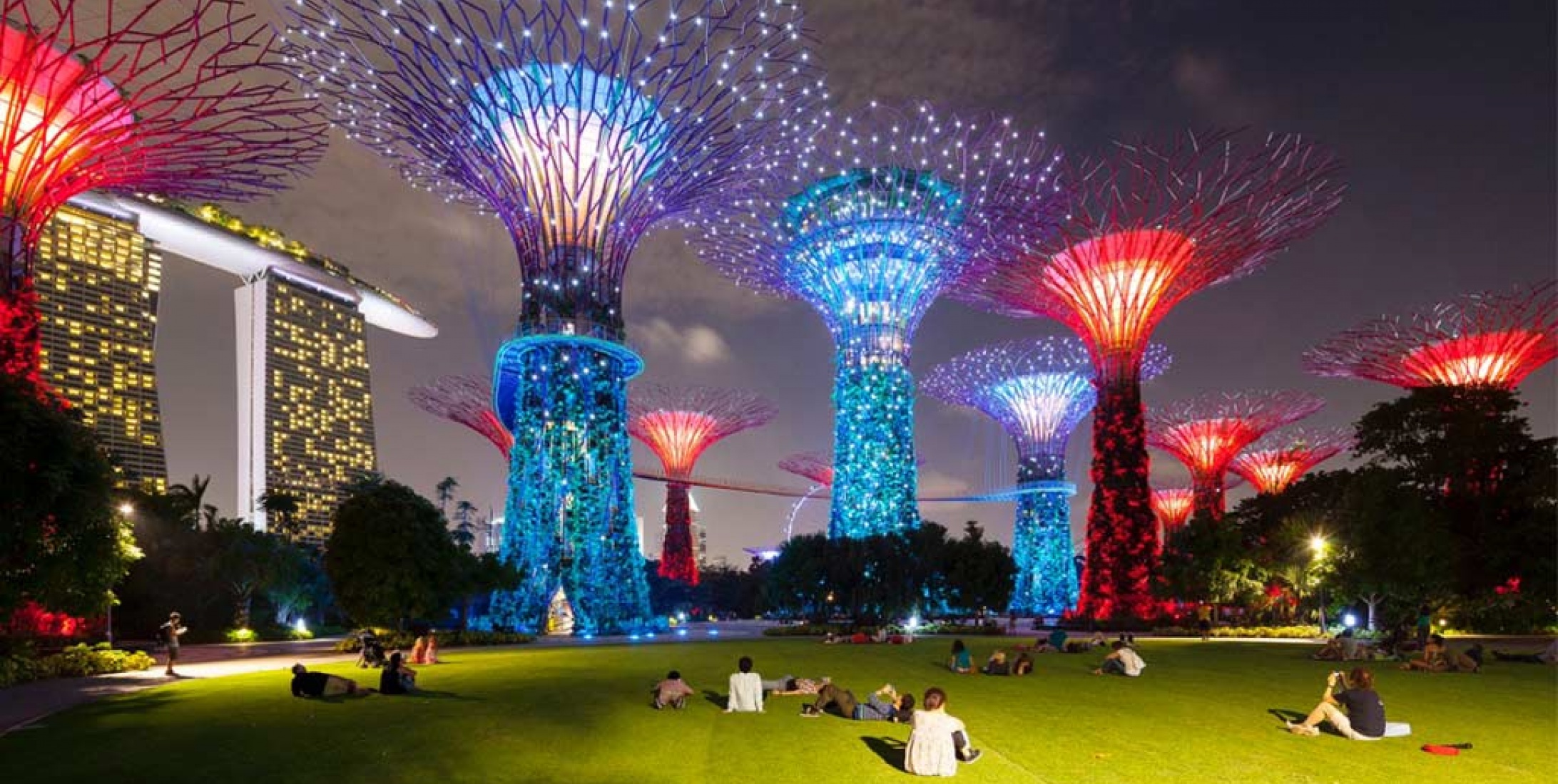 Gardens by the Bay Singapore Anolis LED Lighting